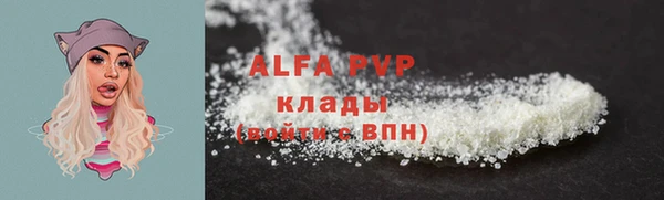 спиды Заводоуковск
