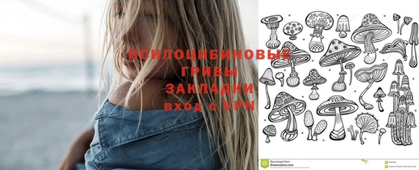 МДПВ Заволжск