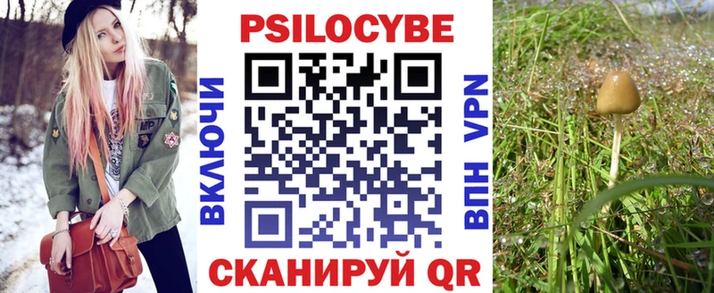 MEGA как войти  Воронеж  Псилоцибиновые грибы Psilocybine cubensis 