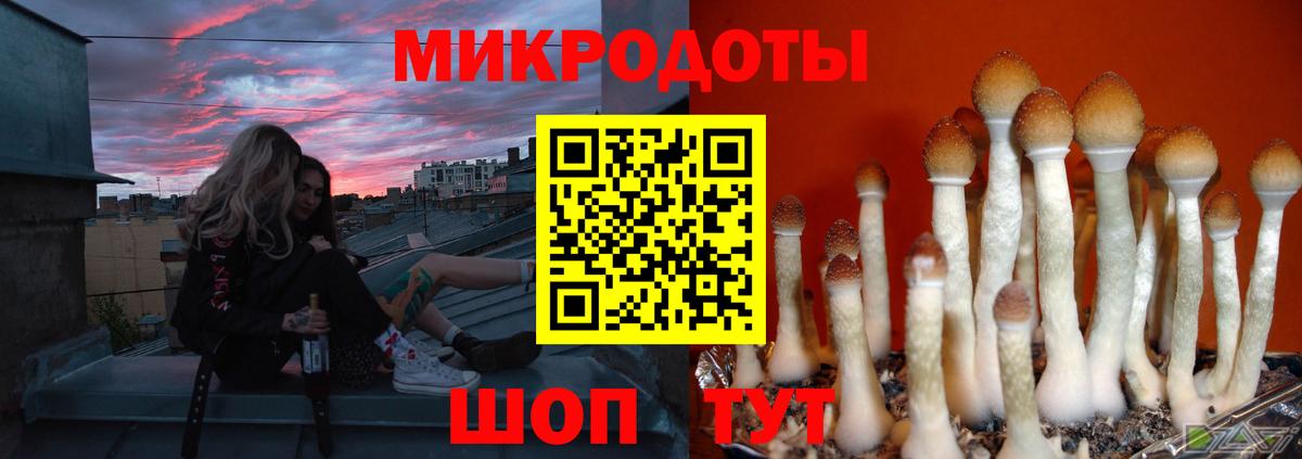 Воронеж  Псилоцибиновые грибы мухоморы  Галлюциногенные грибы мухоморы  Вход с VPN 